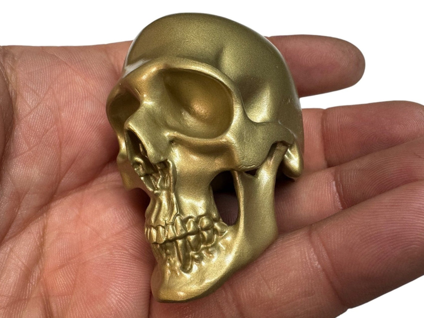 Brass Omni-Mount Colossus Skull by Maratac®