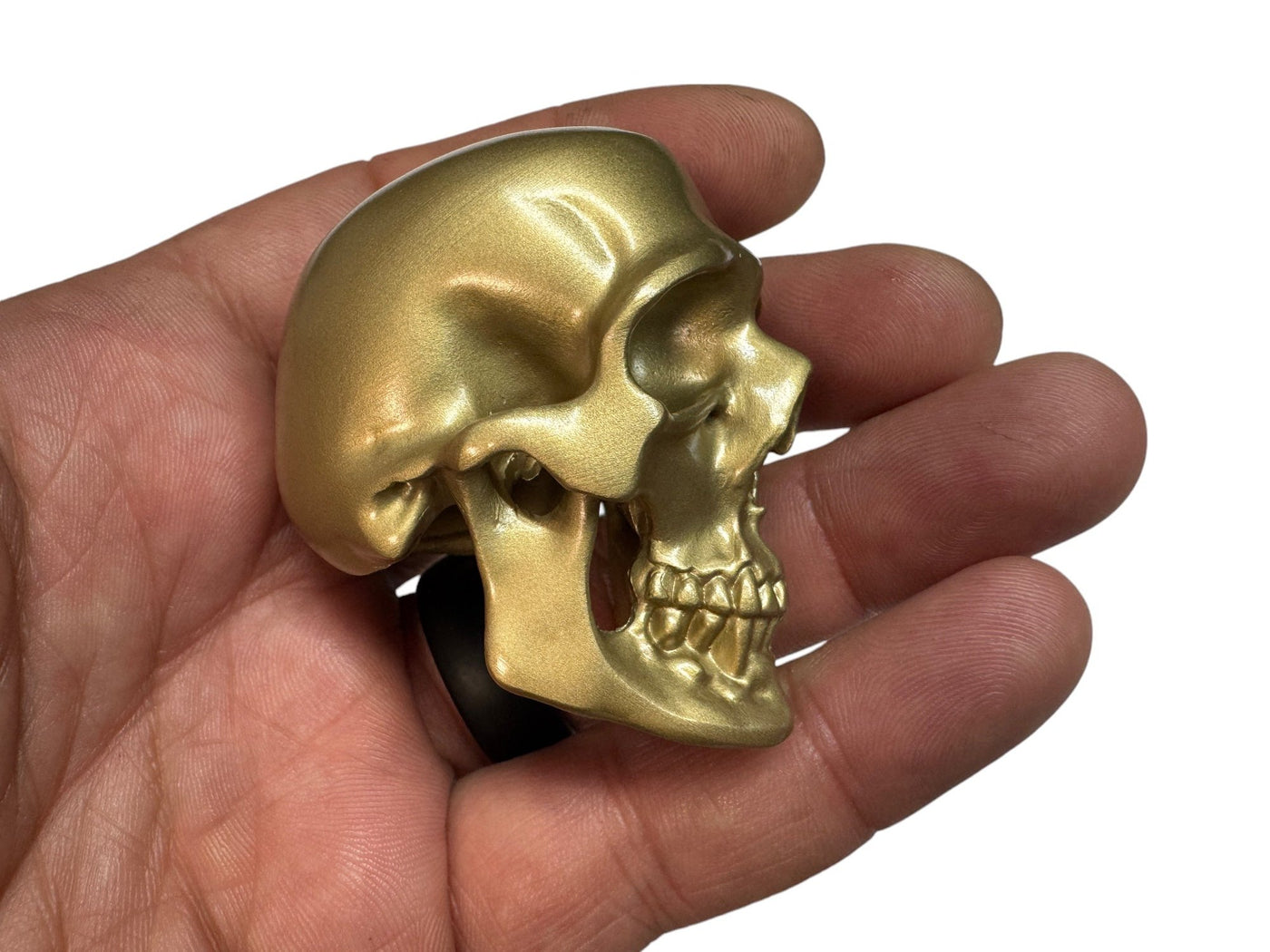 Brass Omni-Mount Colossus Skull by Maratac®