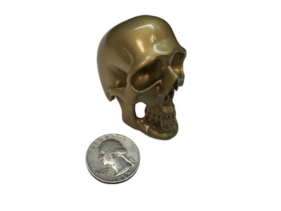 Brass Omni-Mount Colossus Skull by Maratac®