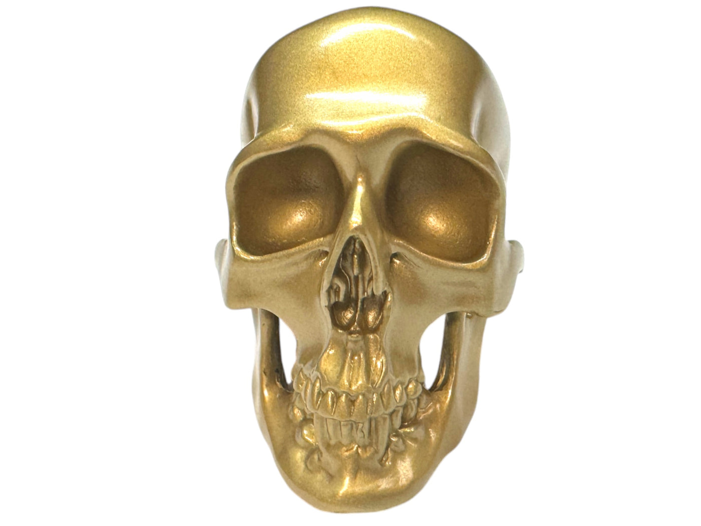 Brass Omni-Mount Colossus Skull by Maratac®