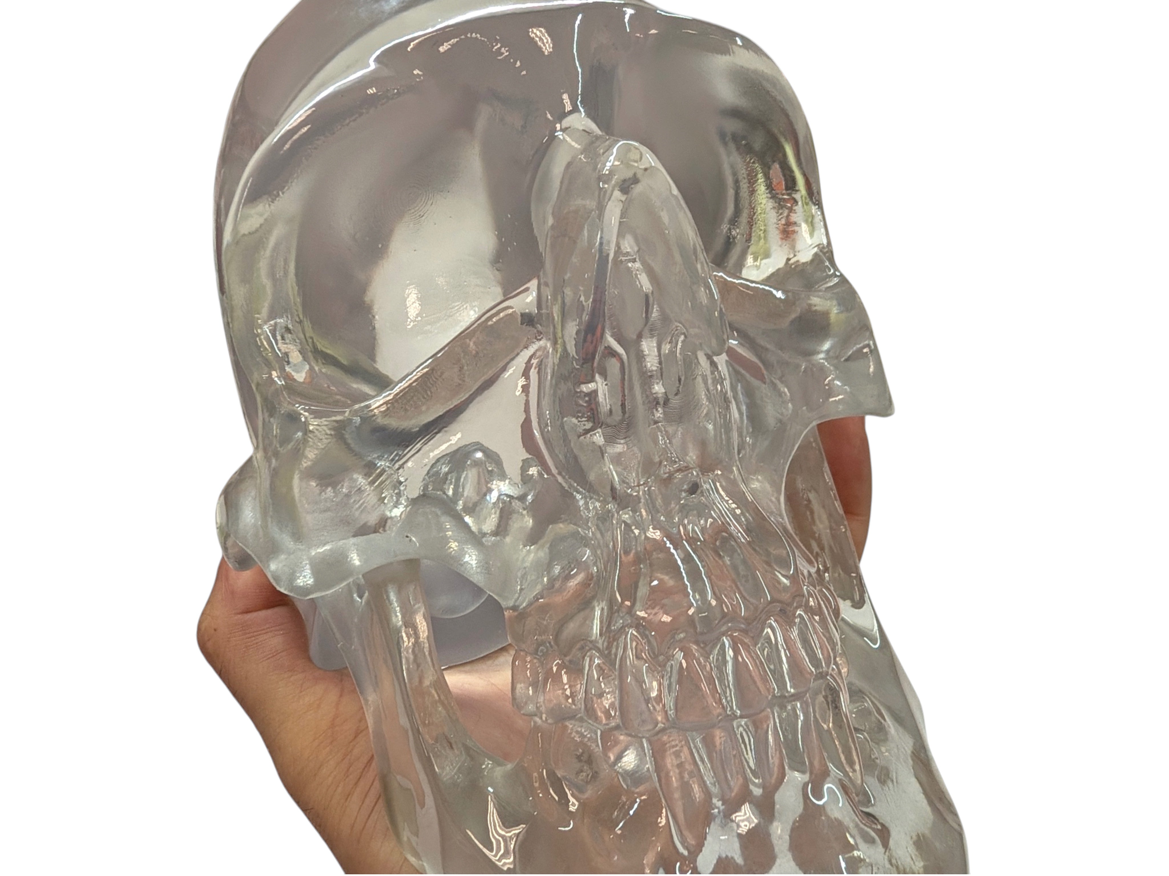 The "Big One" Clear Polished Skull by Maratac® - Limited Edition ( Coming Soon! )