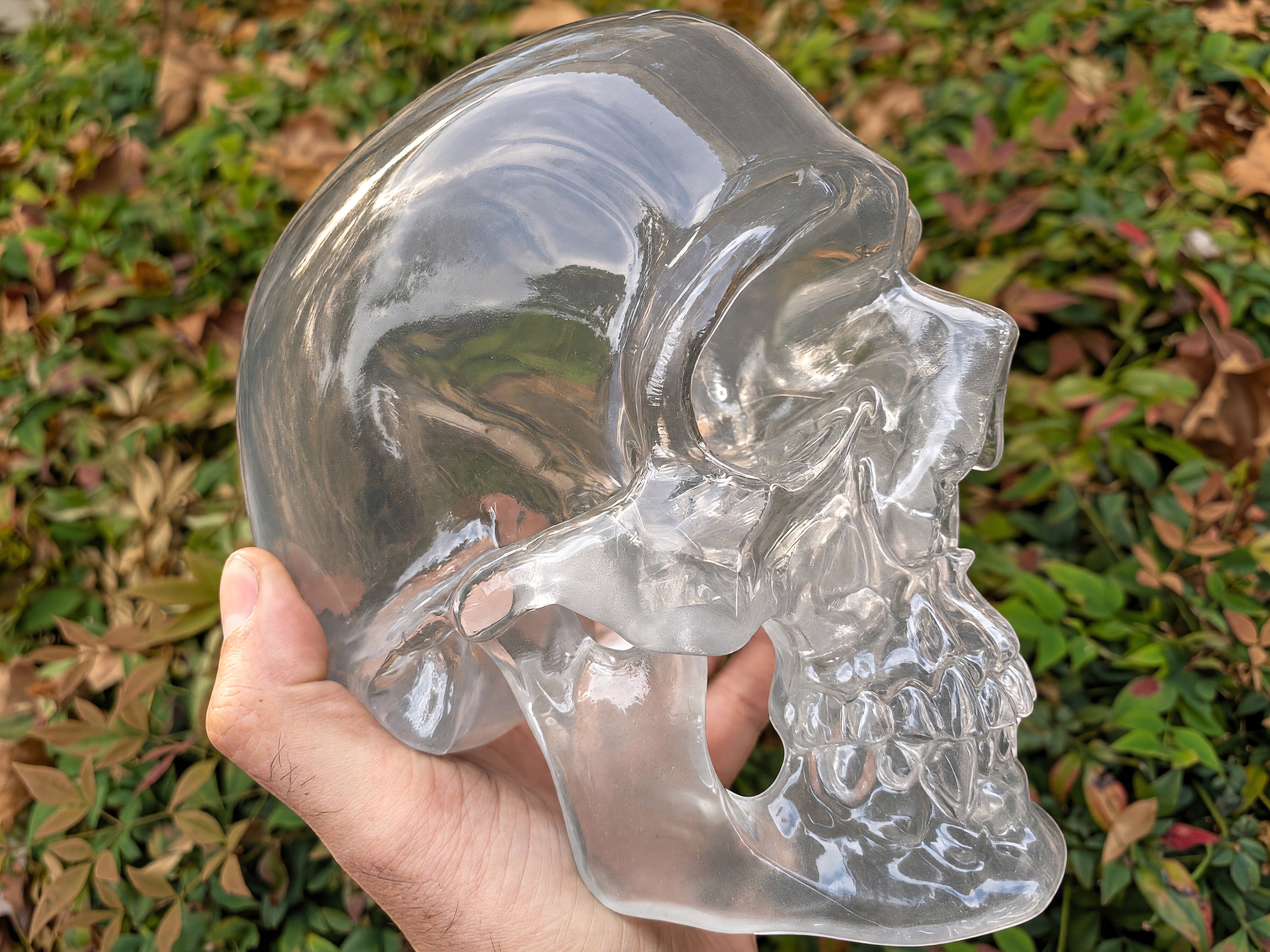 The "Big One" Clear Polished Skull by Maratac® - Limited Edition ( Coming Soon! )