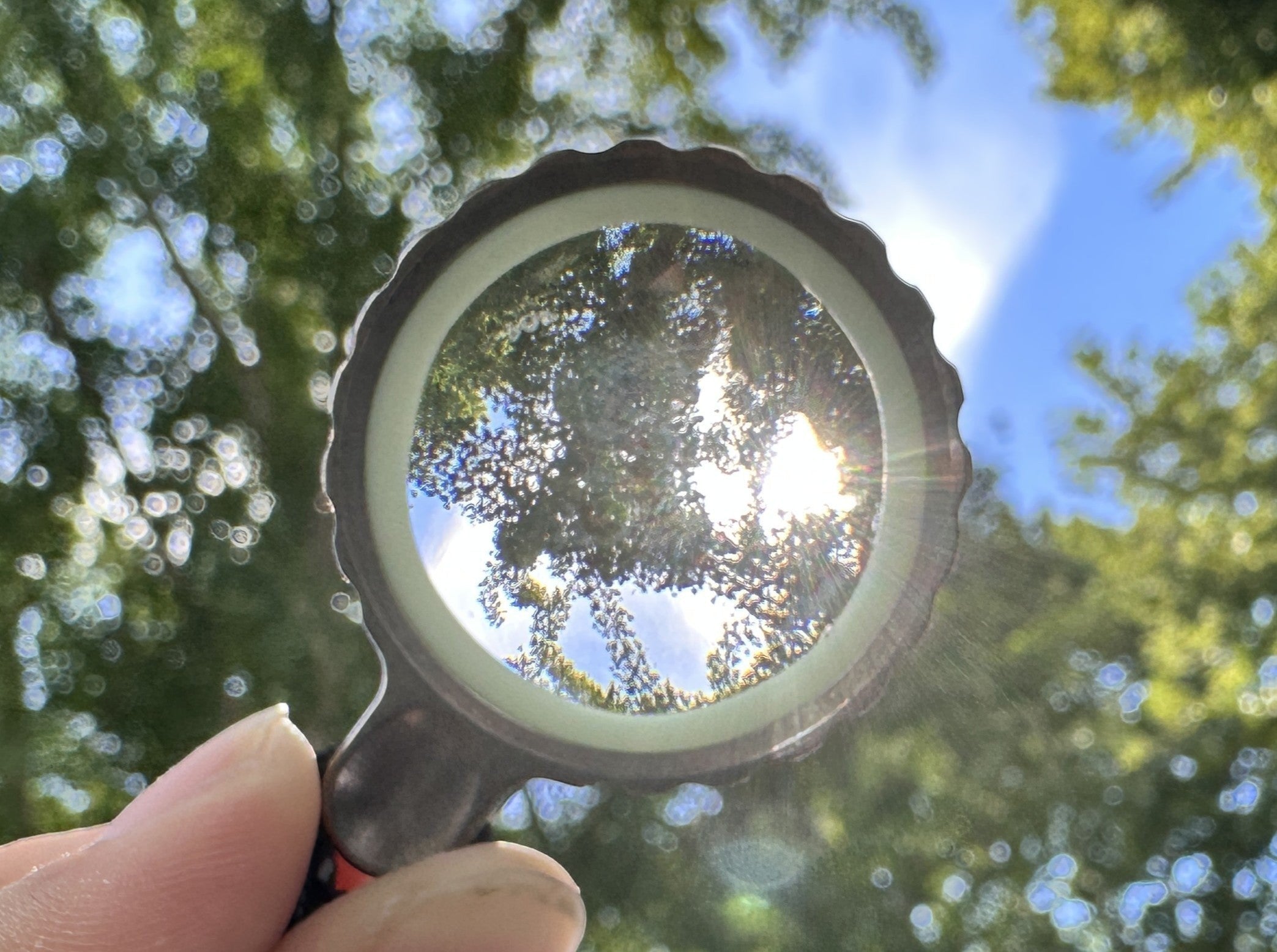 Sapphire Pocket Magnifier - Titan Zoom Magnifying Glass | Maratac